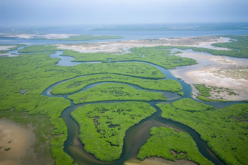 Saloum Delta
